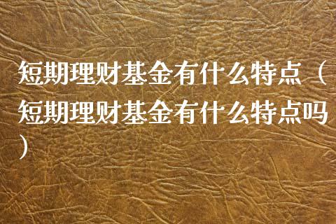 短期理财基金有什么特点（短期理财基金有什么特点吗）_https://www.kuaijiepai.net_投资理财_第1张
