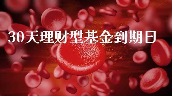 30天理财型基金到期日_https://www.kuaijiepai.net_投资理财_第1张