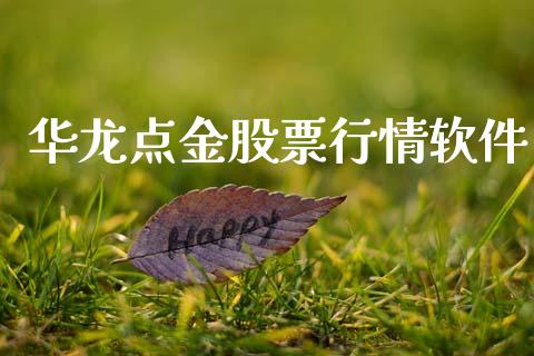 华龙点金股票行情软件_https://www.kuaijiepai.net_新股新闻_第1张