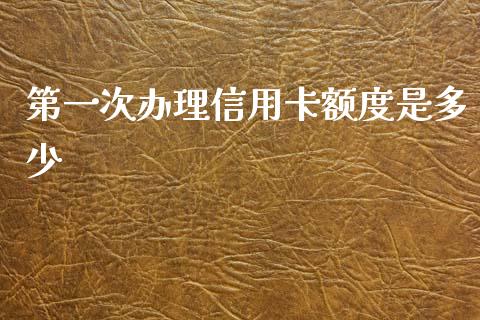 第一次办理信用卡额度是多少_https://www.kuaijiepai.net_期货在线_第1张