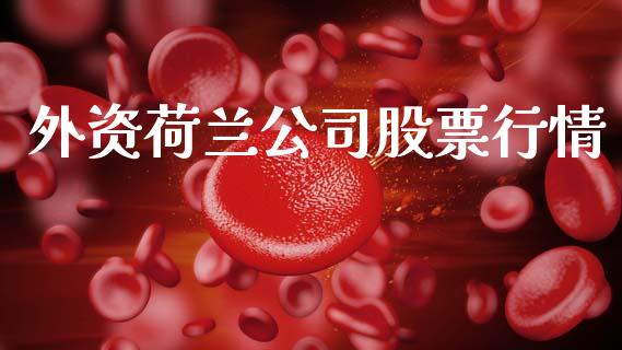 外资荷兰公司股票行情_https://www.kuaijiepai.net_新股新闻_第1张