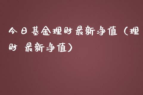 今日基金理财最新净值（理财 最新净值）_https://www.kuaijiepai.net_期货理财_第1张