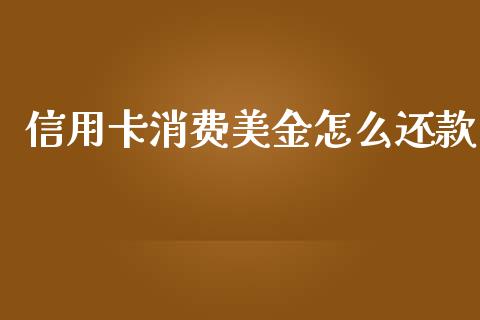 信用卡消费美金怎么还款_https://www.kuaijiepai.net_股票理论_第1张