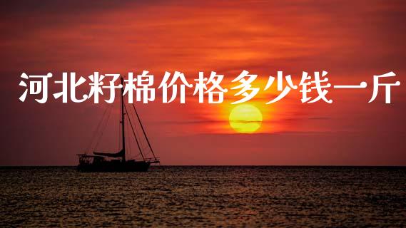 河北籽棉价格多少钱一斤_https://www.kuaijiepai.net_期货资讯_第1张