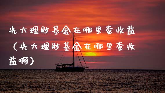 光大理财基金在哪里查收益（光大理财基金在哪里查收益啊）_https://www.kuaijiepai.net_投资理财_第1张