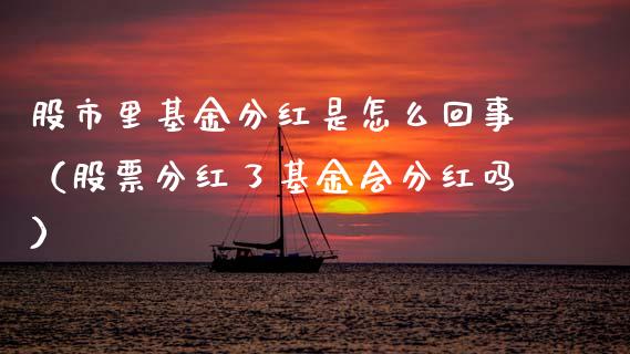 股市里基金分红是怎么回事（股票分红了基金会分红吗）_https://www.kuaijiepai.net_期货理财_第1张
