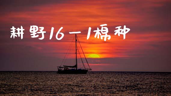 耕野16一1棉种_https://www.kuaijiepai.net_国际期货_第1张