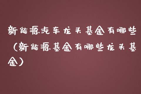 新能源汽车龙头基金有哪些（新能源基金有哪些龙头基金）_https://www.kuaijiepai.net_期货理财_第1张