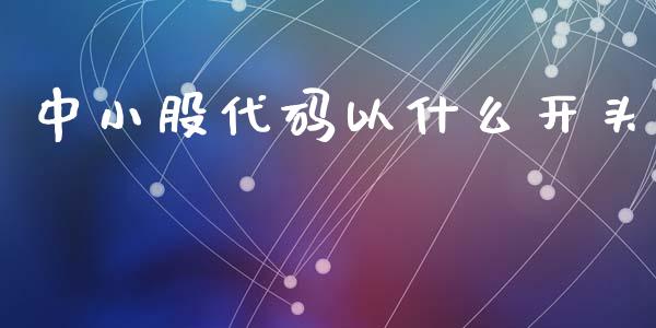中小股代码以什么开头_https://www.kuaijiepai.net_期货资讯_第1张