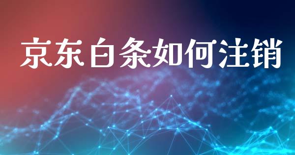 京东白条如何注销_https://www.kuaijiepai.net_国际期货_第1张