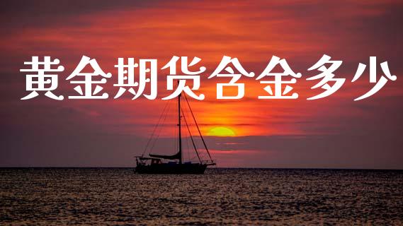 黄金期货含金多少_https://www.kuaijiepai.net_期货资讯_第1张