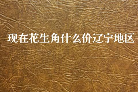 现在花生角什么价辽宁地区_https://www.kuaijiepai.net_国际期货_第1张