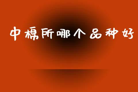 中棉所哪个品种好_https://www.kuaijiepai.net_期货资讯_第1张