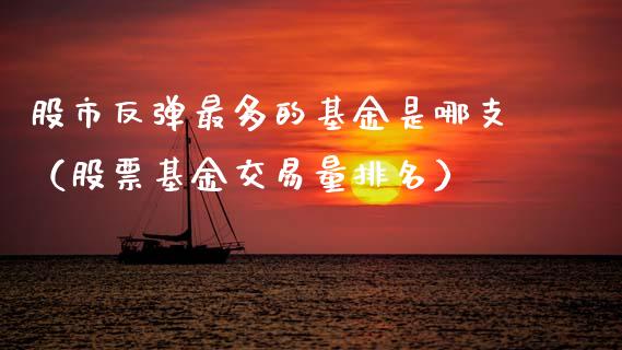 股市反弹最多的基金是哪支（股票基金交易量排名）_https://www.kuaijiepai.net_投资理财_第1张