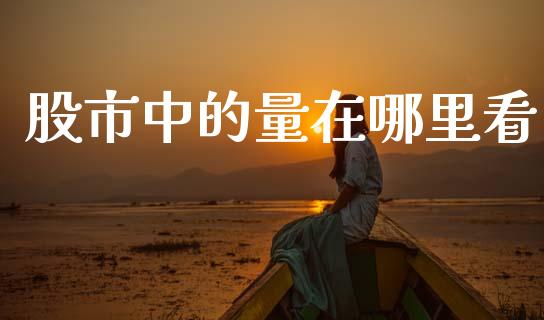股市中的量在哪里看_https://www.kuaijiepai.net_新股新闻_第1张