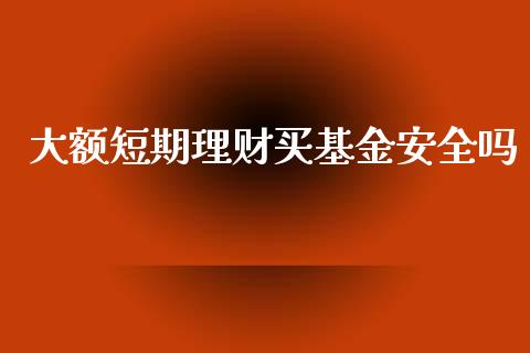 大额短期理财买基金安全吗_https://www.kuaijiepai.net_投资理财_第1张