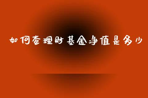 如何查理财基金净值是多少_https://www.kuaijiepai.net_期货理财_第1张