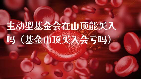 主动型基金会在山顶能买入吗（基金山顶买入会亏吗）_https://www.kuaijiepai.net_期货理财_第1张