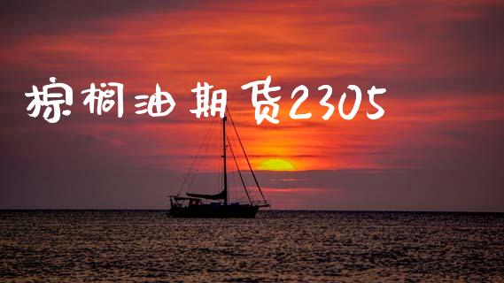 棕榈油期货2305_https://www.kuaijiepai.net_期货资讯_第1张