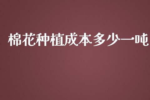 棉花种植成本多少一吨_https://www.kuaijiepai.net_国际期货_第1张