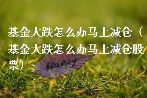 基金大跌怎么办马上减仓（基金大跌怎么办马上减仓股票）_https://www.kuaijiepai.net_投资理财_第1张
