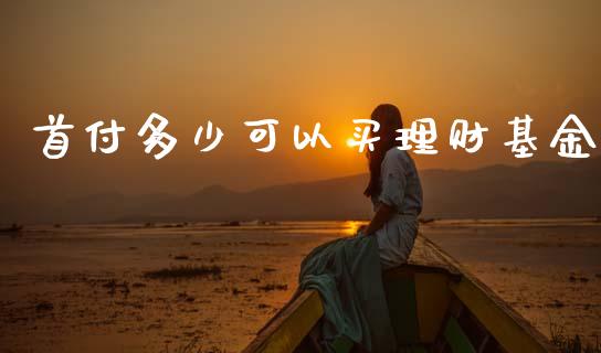 首付多少可以买理财基金_https://www.kuaijiepai.net_期货理财_第1张