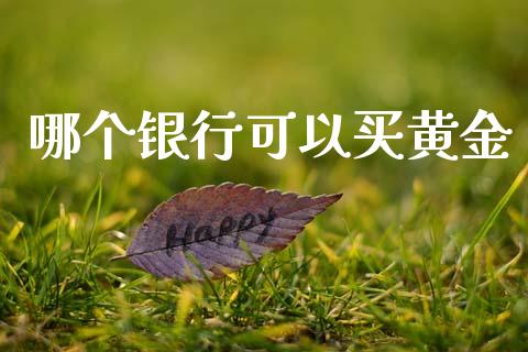 哪个银行可以买黄金_https://www.kuaijiepai.net_期货在线_第1张