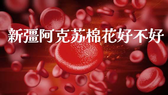 新彊阿克苏棉花好不好_https://www.kuaijiepai.net_国际期货_第1张