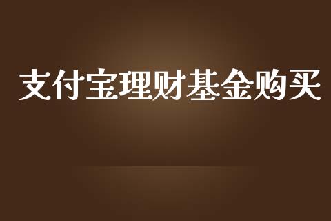 支付宝理财基金购买_https://www.kuaijiepai.net_投资理财_第1张
