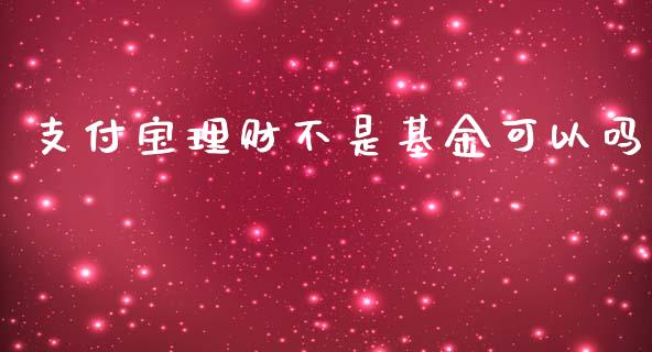 支付宝理财不是基金可以吗_https://www.kuaijiepai.net_期货理财_第1张