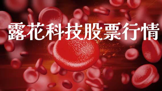 露花科技股票行情_https://www.kuaijiepai.net_股票理论_第1张