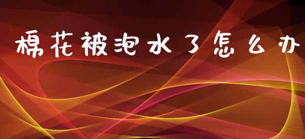 棉花被泡水了怎么办_https://www.kuaijiepai.net_国际期货_第1张