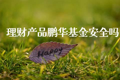 理财产品鹏华基金安全吗_https://www.kuaijiepai.net_期货理财_第1张