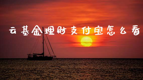 云基金理财支付宝怎么看_https://www.kuaijiepai.net_期货理财_第1张