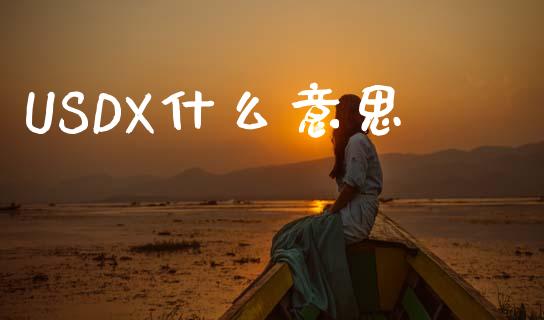 USDX什么意思_https://www.kuaijiepai.net_新股新闻_第1张