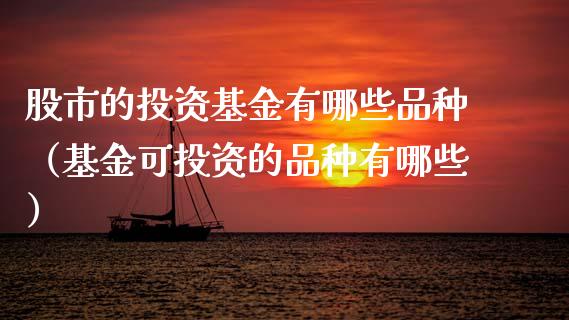 股市的投资基金有哪些品种（基金可投资的品种有哪些）_https://www.kuaijiepai.net_期货理财_第1张