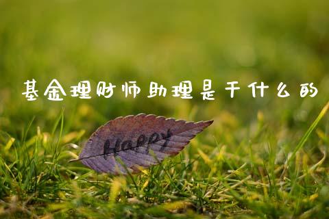 基金理财师助理是干什么的_https://www.kuaijiepai.net_投资理财_第1张