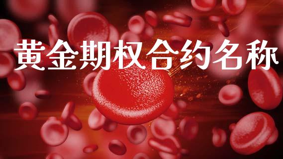 黄金期权合约名称_https://www.kuaijiepai.net_投资理财_第1张