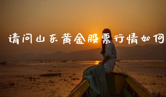 请问山东黄金股票行情如何_https://www.kuaijiepai.net_股票理论_第1张