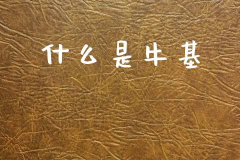 什么是牛基_https://www.kuaijiepai.net_股票理论_第1张