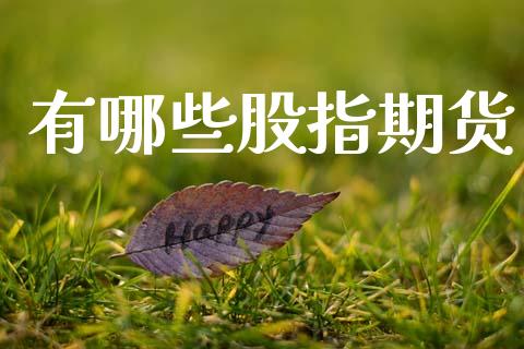 有哪些股指期货_https://www.kuaijiepai.net_新股新闻_第1张