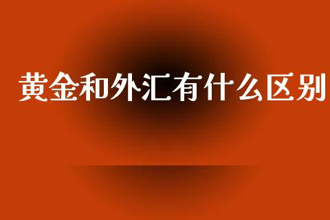 黄金和外汇有什么区别_https://www.kuaijiepai.net_国际期货_第1张
