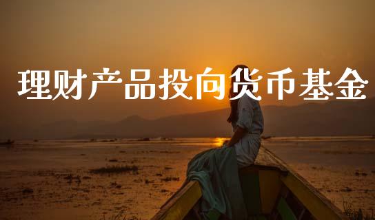 理财产品投向货币基金_https://www.kuaijiepai.net_期货理财_第1张