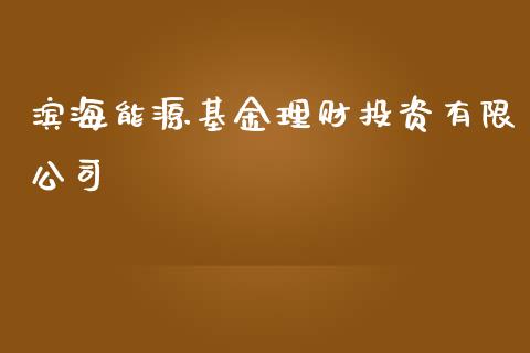 滨海能源基金理财投资有限公司_https://www.kuaijiepai.net_期货理财_第1张