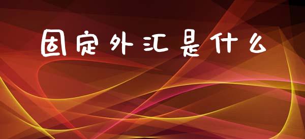 固定外汇是什么_https://www.kuaijiepai.net_投资理财_第1张