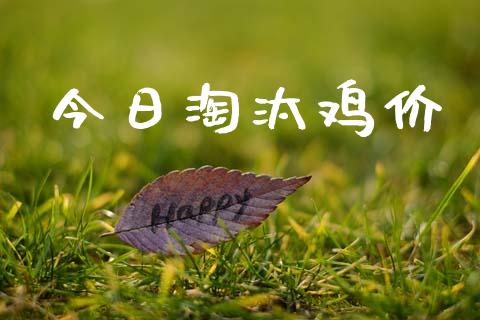 今日淘汰鸡价_https://www.kuaijiepai.net_国际期货_第1张