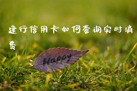 建行信用卡如何查询实时消费_https://www.kuaijiepai.net_期货在线_第1张