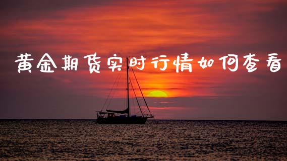 黄金期货实时行情如何查看_https://www.kuaijiepai.net_期货资讯_第1张