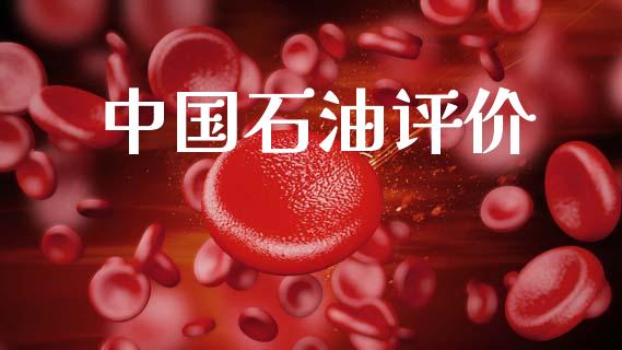 中国石油评价_https://www.kuaijiepai.net_期货在线_第1张
