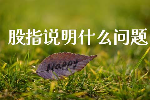 股指说明什么问题_https://www.kuaijiepai.net_股票理论_第1张